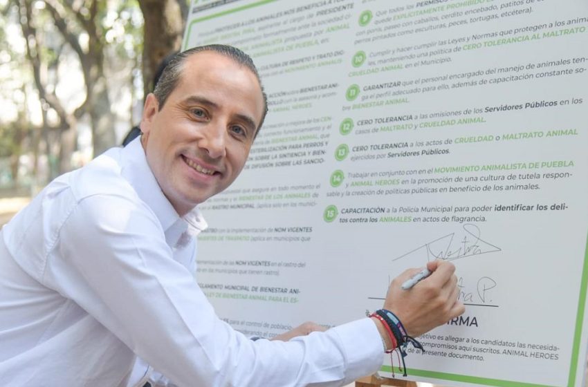 Mario Riestra construirá el primer hospital veterinario de Puebla