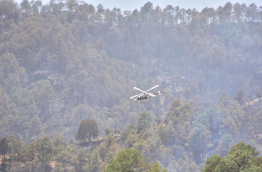 Por aire y tierra brigadas estatales combaten incendio forestal en Libres