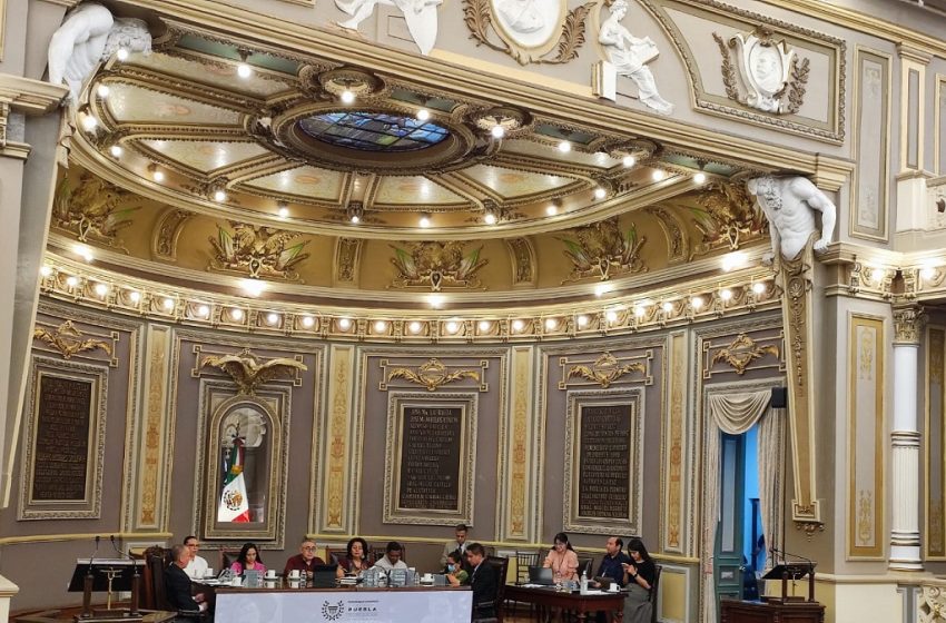  Promueve Congreso del Estado tenencia responsable de mascotas y bienestar animal
