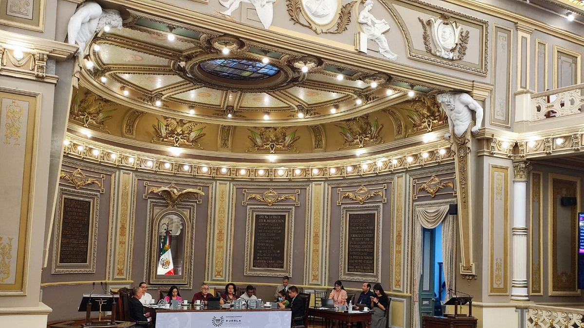 Promueve Congreso del Estado tenencia responsable de mascotas y bienestar animal