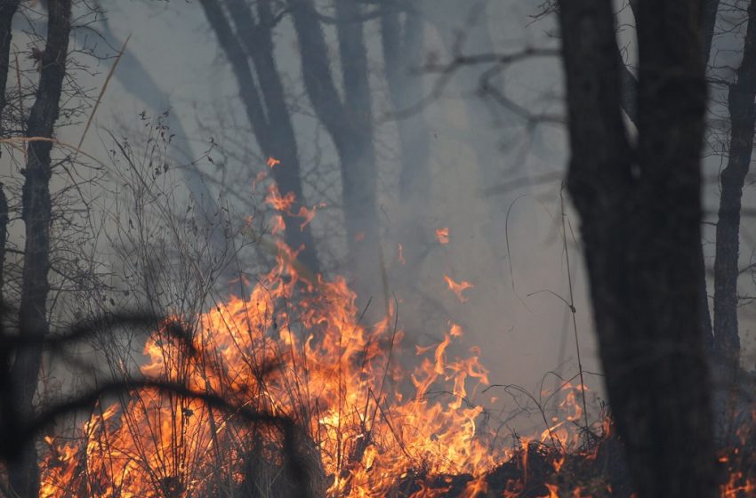  Puebla registra mala calidad del aire por incendios forestales este 20 de abril