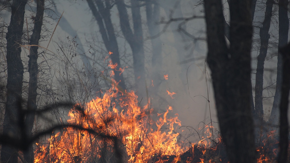 Puebla registra mala calidad del aire por incendios forestales este 20 de abril