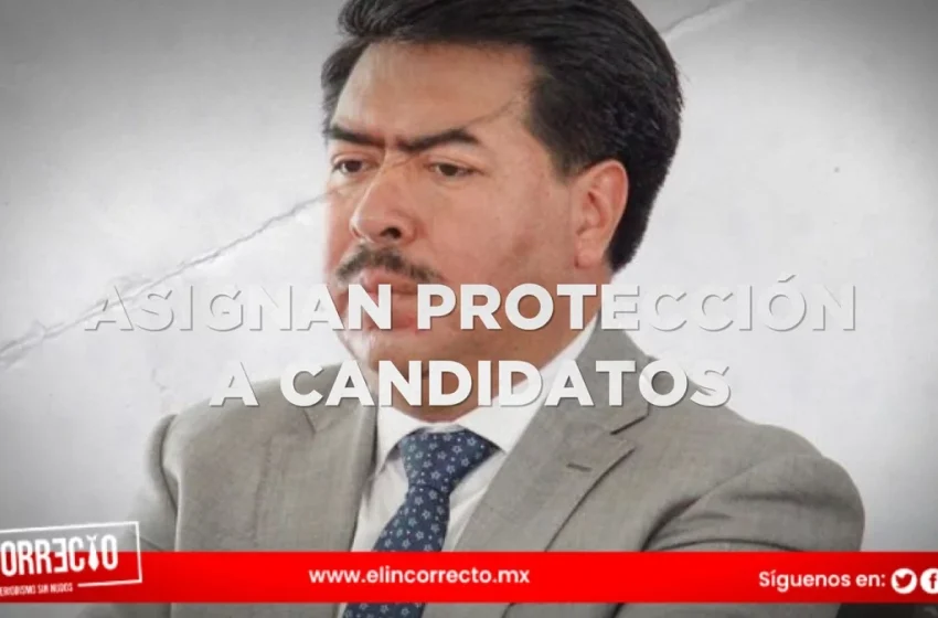  Gobierno estatal asigna protección a 14 candidatos