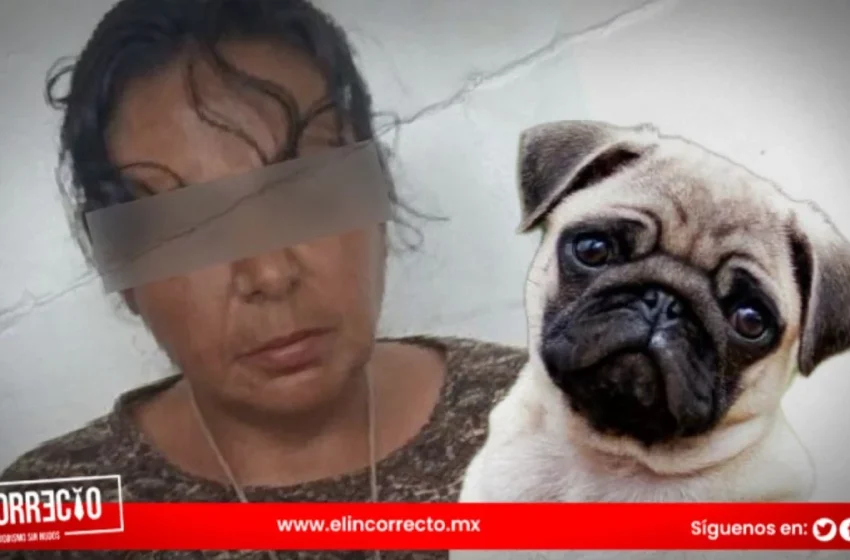  Dictan prisión preventiva a la «Mata Perros» de Bosques de San Sebastián