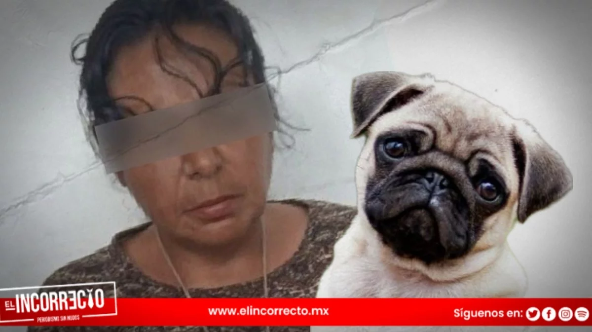 Dictan prisión preventiva a la "Mata Perros" de Bosques de San Sebastián