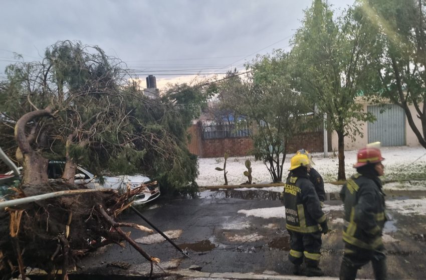  Tormenta y granizada deja árboles colapsados, automóviles aplastados e inundaciones en Puebla