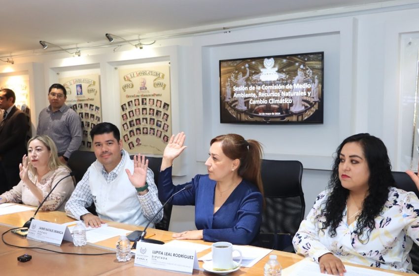  Aprueba Comisión del Congreso exhorto para prevenir incendios forestales
