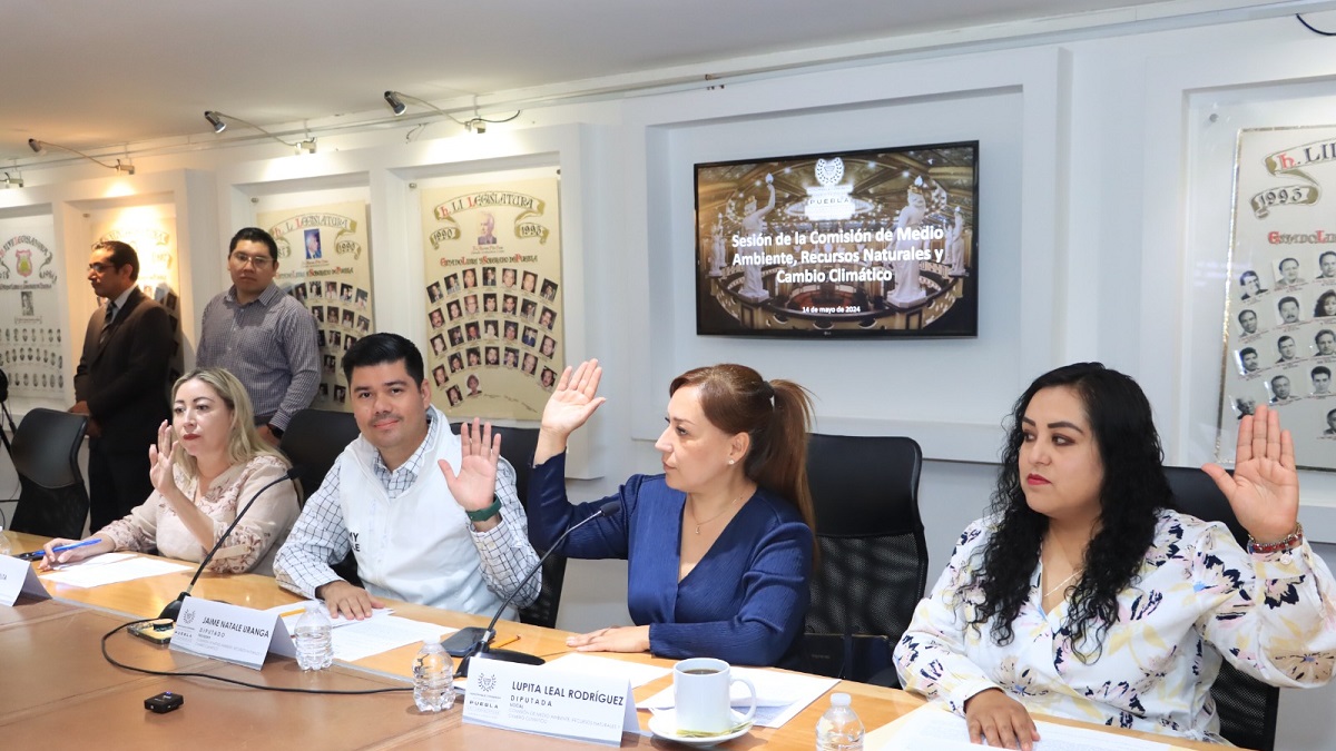 Aprueba Comisión del Congreso exhorto para prevenir incendios forestales
