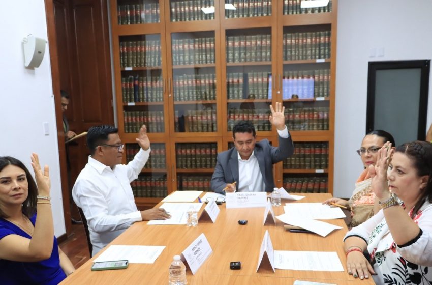  Avala Comisión del Congreso acuerdo para que dependencias cuenten con traductores de lenguas indígenas