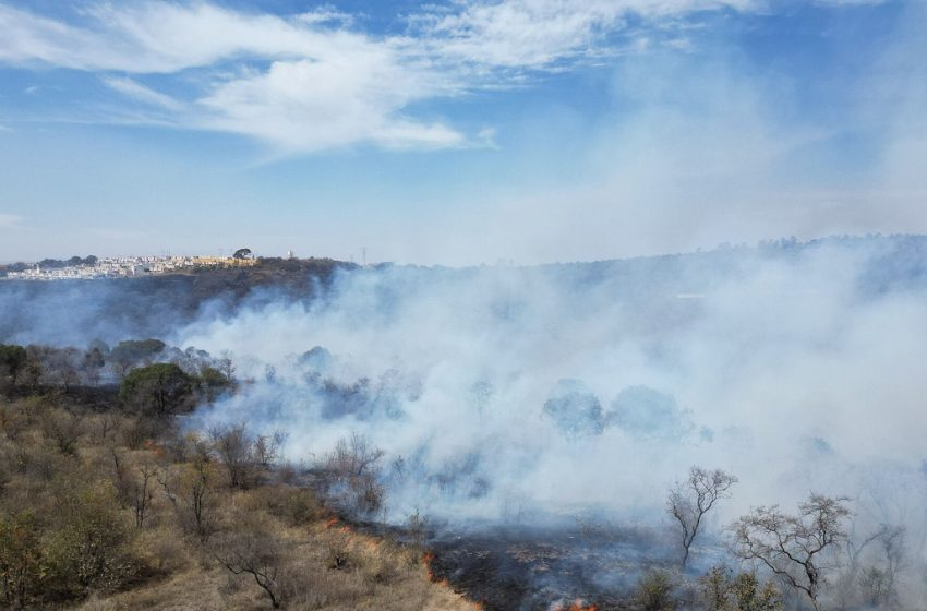  En Puebla, provocar incendios forestales no tiene impunidad; gobierno estatal exhorta a denunciar