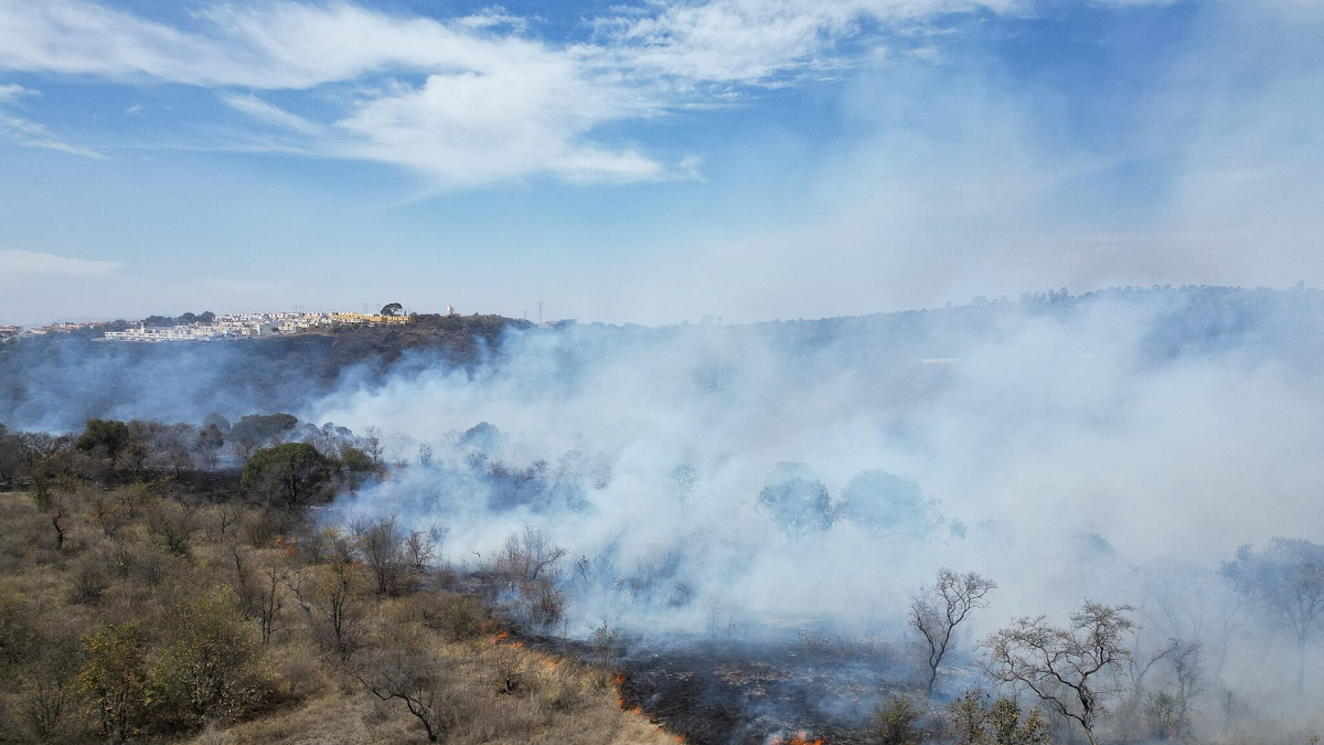 En Puebla, provocar incendios forestales no tiene impunidad; gobierno estatal exhorta a denunciar