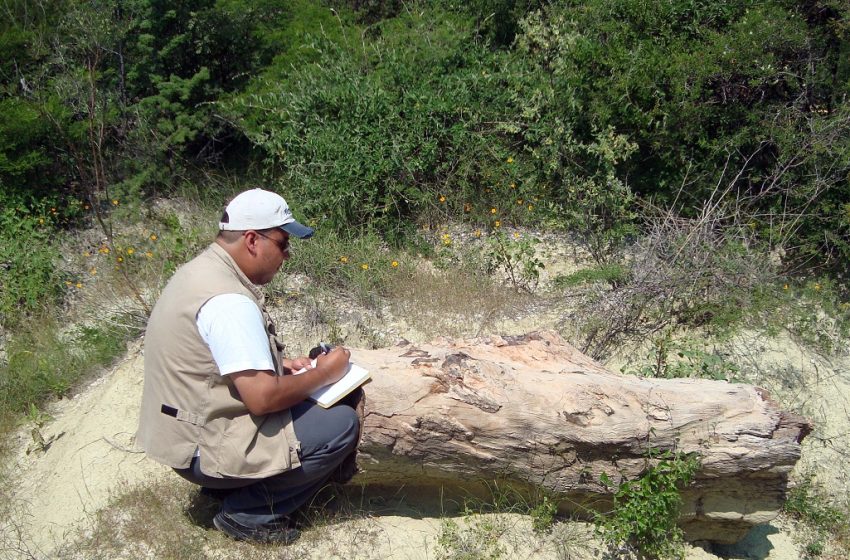  Laboratorio de Paleobiología de la BUAP: estudia el origen, la evolución y extinción de la flora y fauna de México