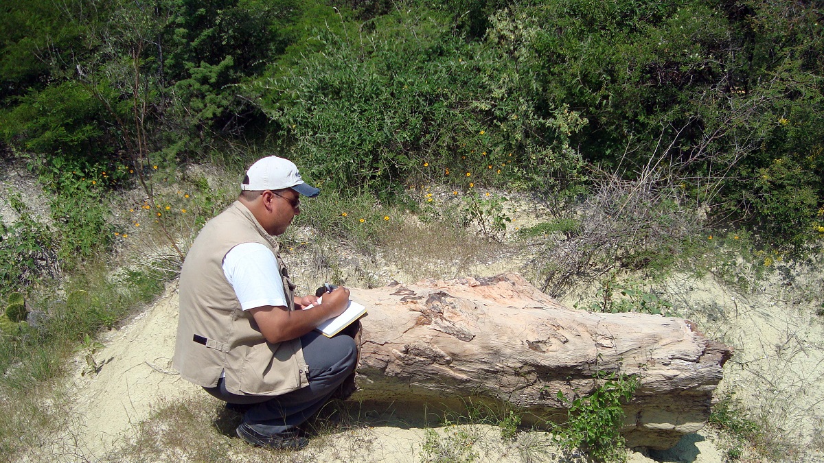 Laboratorio de Paleobiología de la BUAP: estudia el origen, la evolución y extinción de la flora y fauna de México