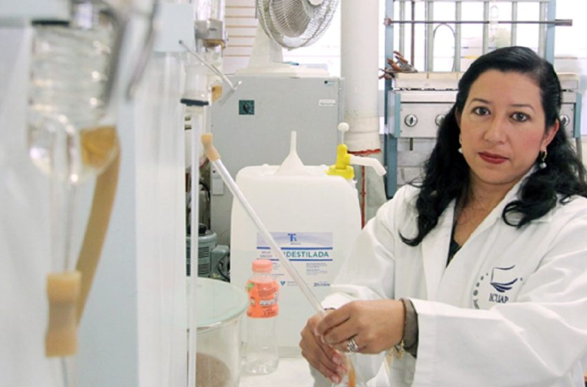  Participa BUAP en programa de la FAO para capacitar a agricultores como “Doctores del Suelo”