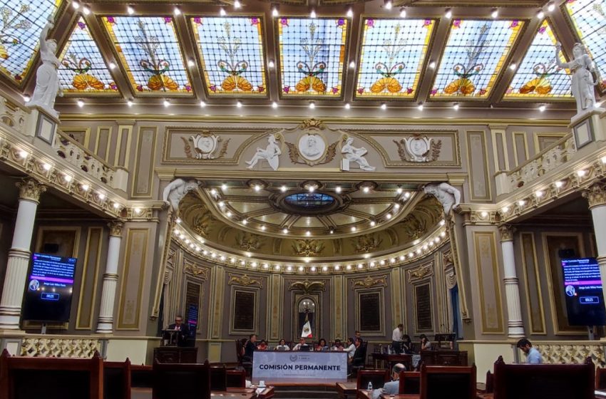  Presentan en el Congreso del Estado iniciativa para garantizar protección de animales como seres sintientes
