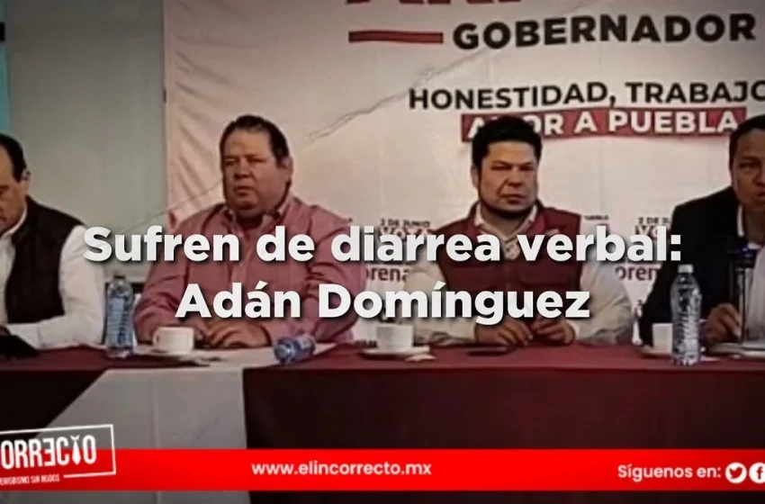  Voceros de Morena sufren de diarrea verbal: Adán Domínguez