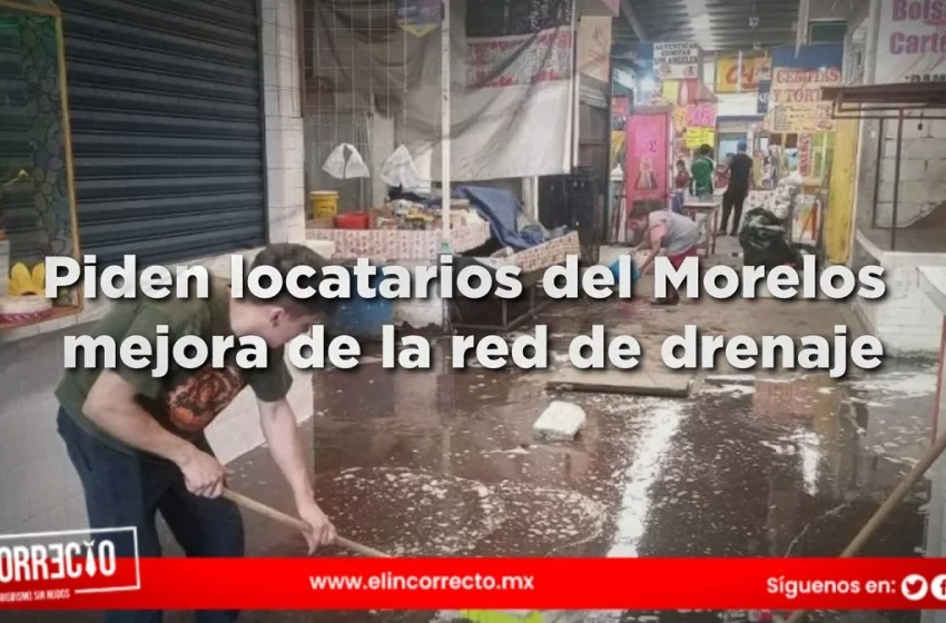  Locatarios del Mercado Morelos piden mejorar la red de drenaje tras inundaciones