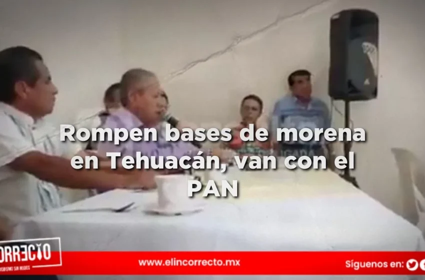  PAN advierte nulidad de la elección por robo de boletas