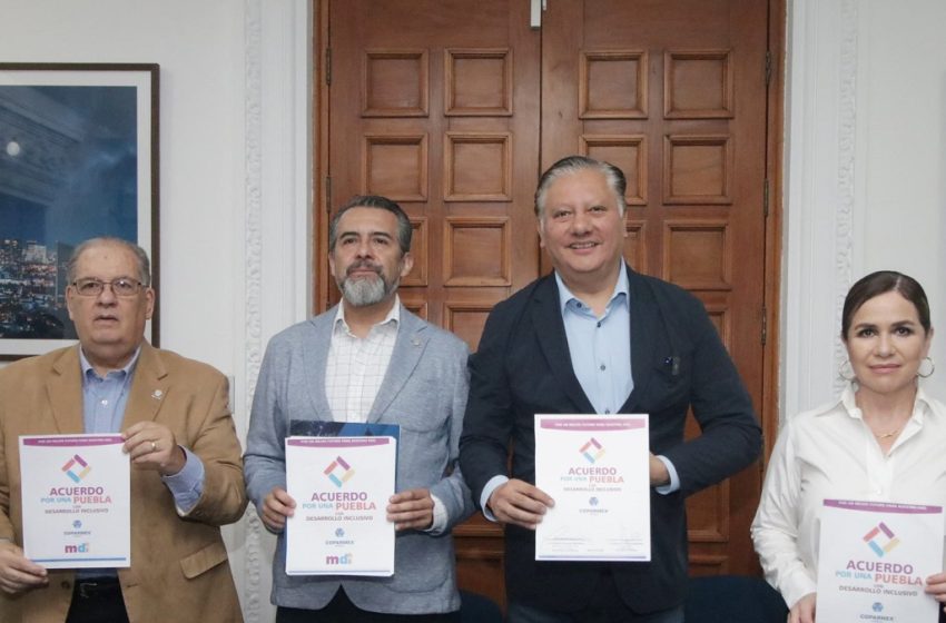  Fernando Morales pide al INE investigar proselitismo en la «Marea Rosa»