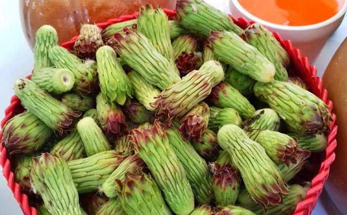 Feria de la Tetecha, impulsa los beneficios del nopal