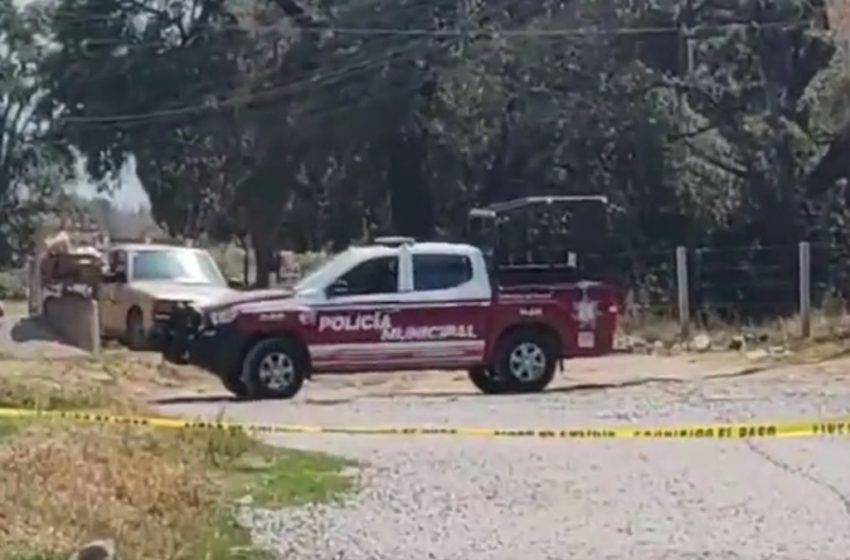  Poblanos reportan a un perro transportando un cráneo humano en Bosques de Santa Anita