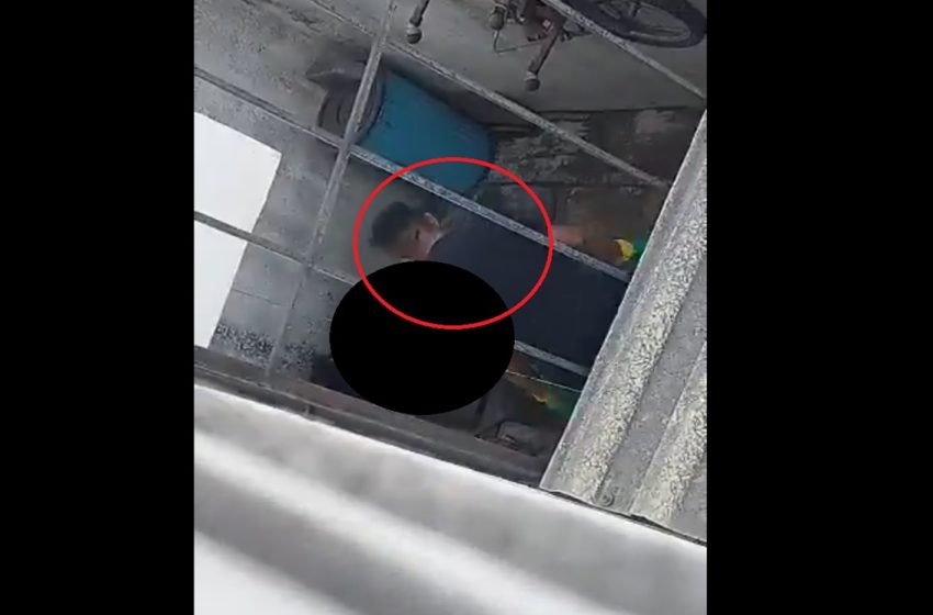 Video muestra brutal maltrato a perritos en una azotea de Puebla
