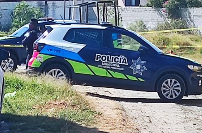  Asesinan a Herrero con 17 Balazos en Arboledas de Loma Bella, Puebla