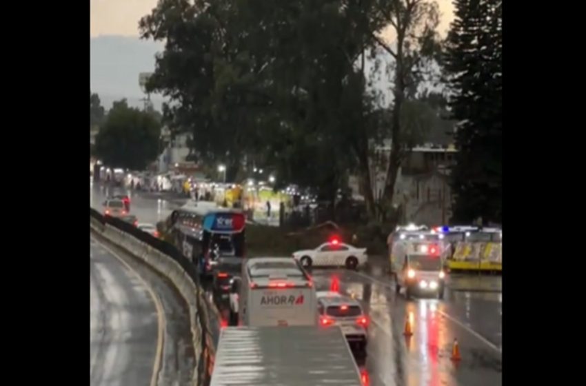 ¡Atención! Caída de Árboles en Diversos Puntos de Puebla: Afectaciones en La Calera, Autopista Puebla-México y Colonia San Pedro
