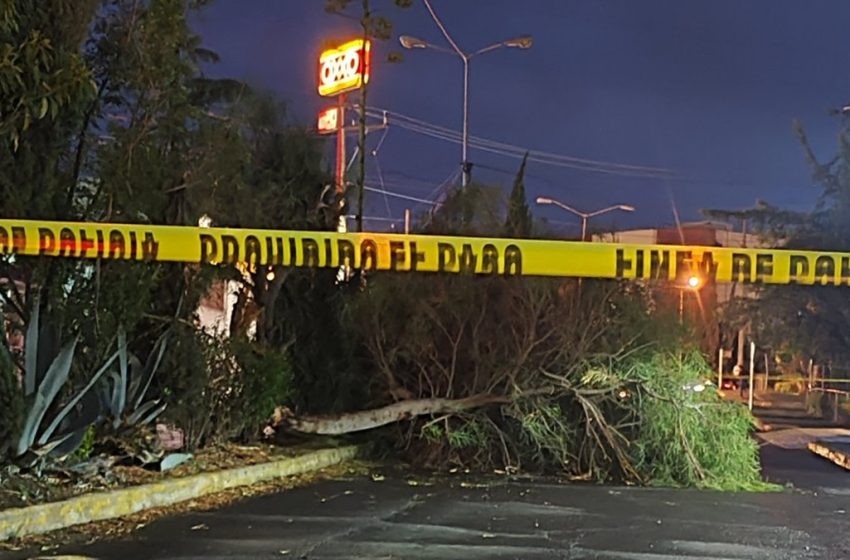  Fuerte Lluvia Causa Apagones y Caída de Árboles en Puebla (VIDEOS)