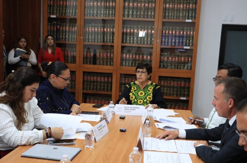  Avala Comisión del Congreso, establecer lenguaje incluyente en Ley de Entidades Paraestatales