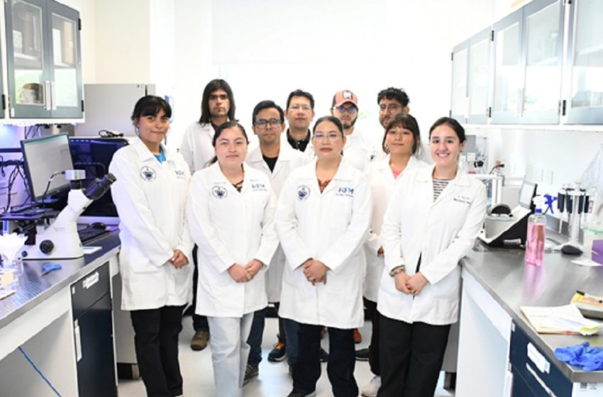  Desarrollan en la BUAP sensor microfluídico de papel para la detección de iones de arsénico