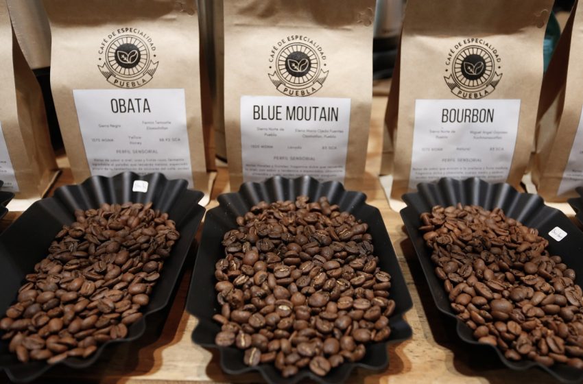  Presentan quinta edición de la Expo Café en Puebla; esto es lo que encontrarás