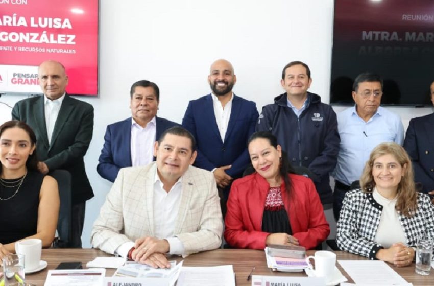  Proyectos Ferroviarios para el desarrollo del país:  Albores y Armenta