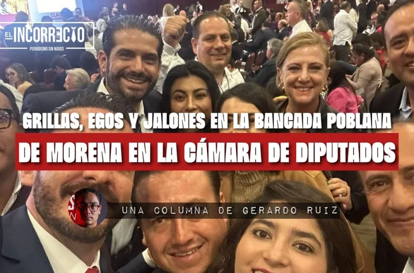  Grillas, egos y jalones en la bancada poblana de Morena en la Cámara de Diputados