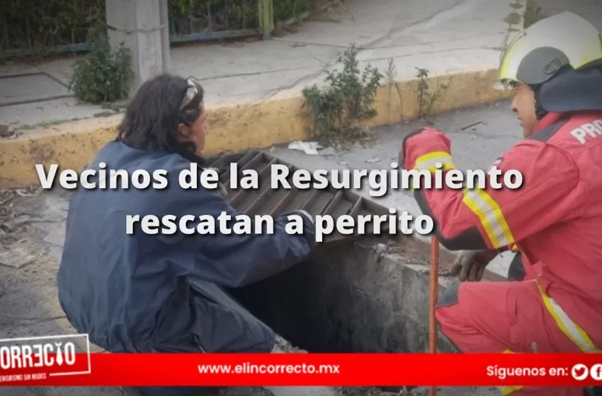  FOTOS: Vecinos de la colonia Resurgimiento rescatan a lomito atrapado en una alcantarilla