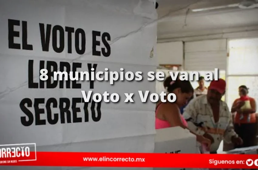  IEE revisa elecciones en Tianguismanalco, Ixtepec, Olintla y Xiutetelco por destrucción de boletas