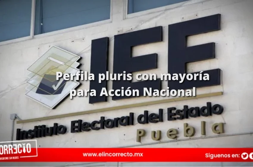  IEE perfila 4 diputados pluris para Morena y 7 para el PAN