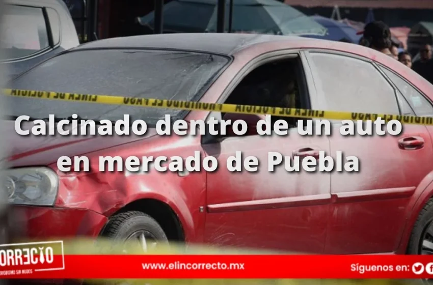  Calcinado del Mercado Hidalgo no está relacionado con el funcionamiento de este lugar: Adán Domínguez