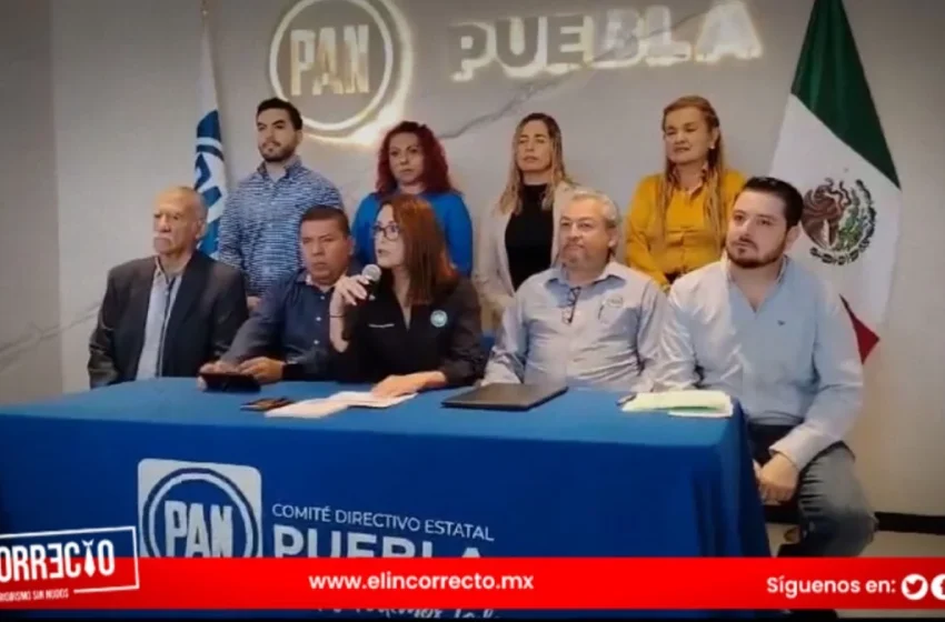  PAN pedirá destitución de consejeros electorales por invalidar elección de Venustiano Carranza
