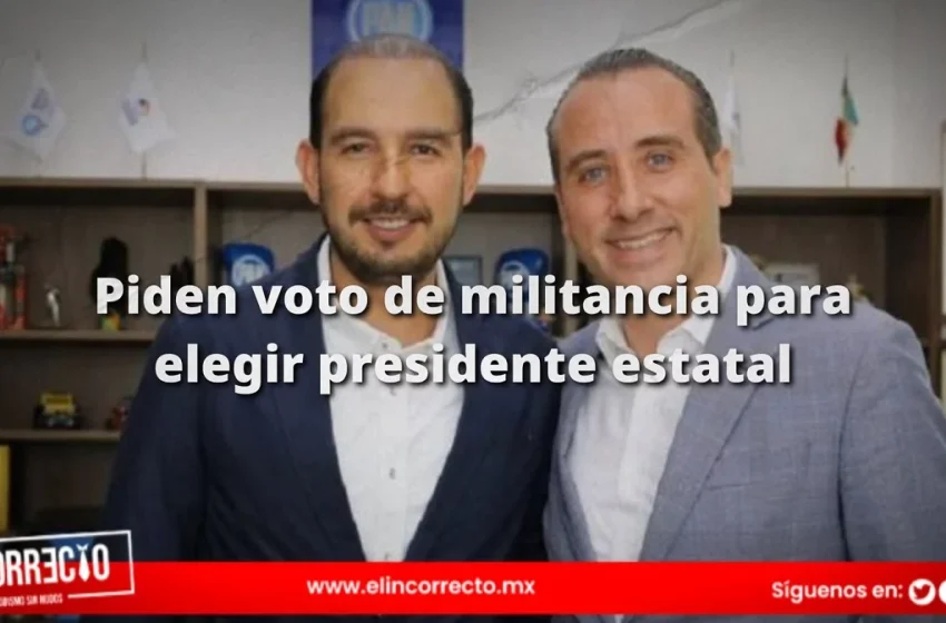 Riestra pide a dirigente nacional del PAN voto de militancia para elegir al líder estatal