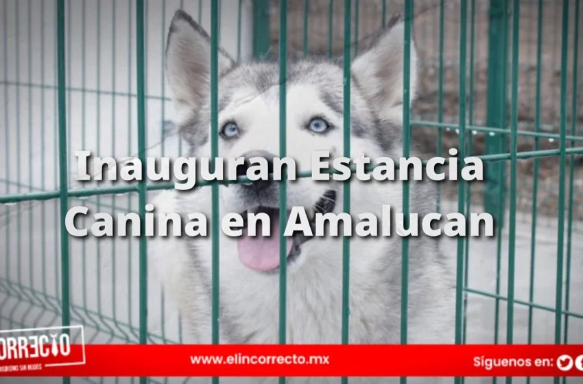  Inauguran Estancia Canina en Amalucan; 30 lomitos en espera de adopción