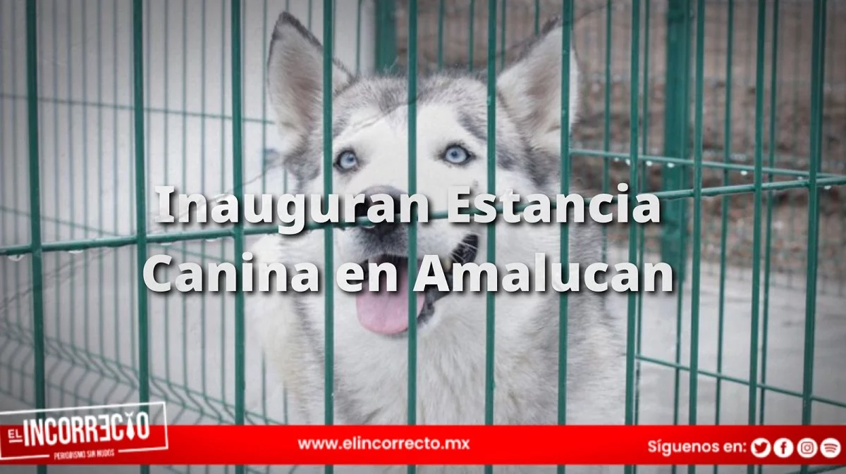 Inauguran Estancia Canina en Amalucan; 30 lomitos en espera de adopción