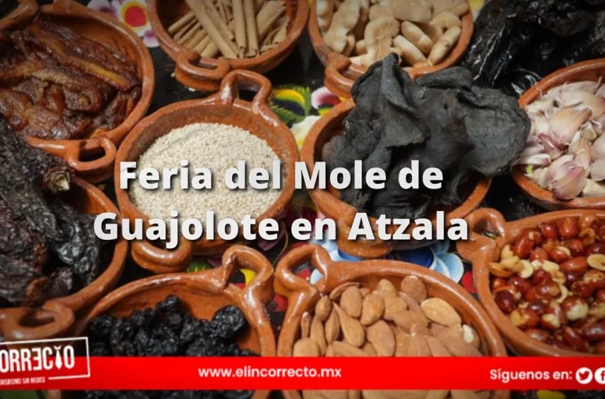  Este fin de semana te espera la Feria del Mole de Guajolote en Atzala
