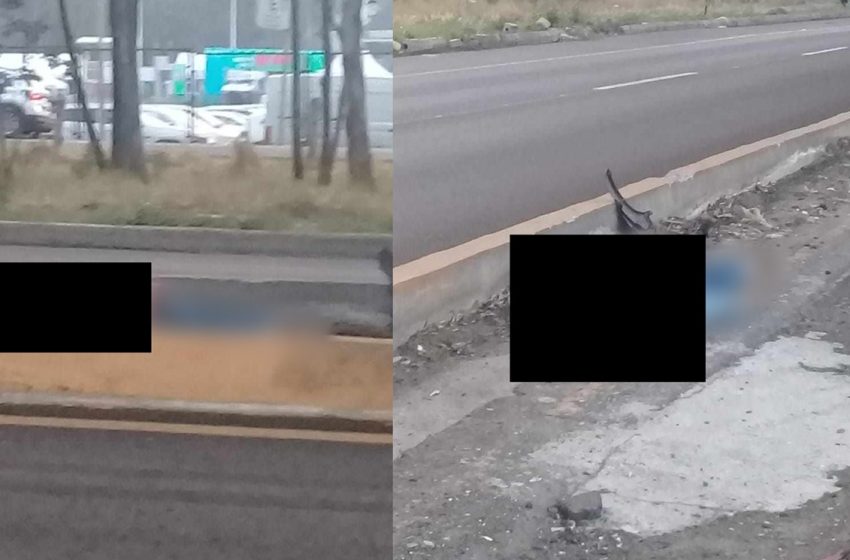  Macabro Domingo en Puebla: Hallan Cadáver Con Misteriosa Herida en la Autopista México-Puebla