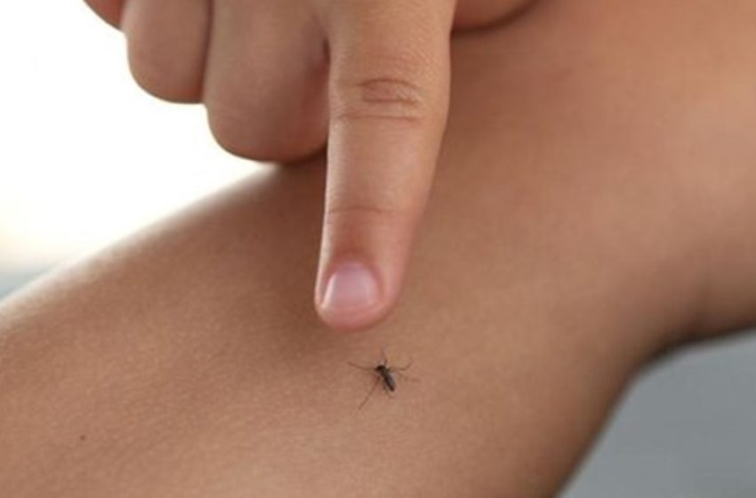  Niño de 11 años, primera muerte por Dengue en Puebla