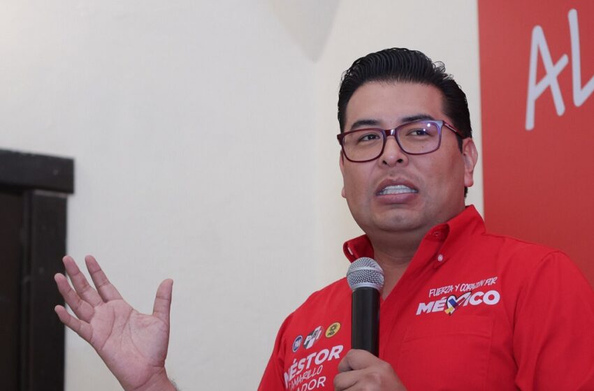  Activista indígena impugna sentencia del TEPJF a favor de Néstor Camarillo
