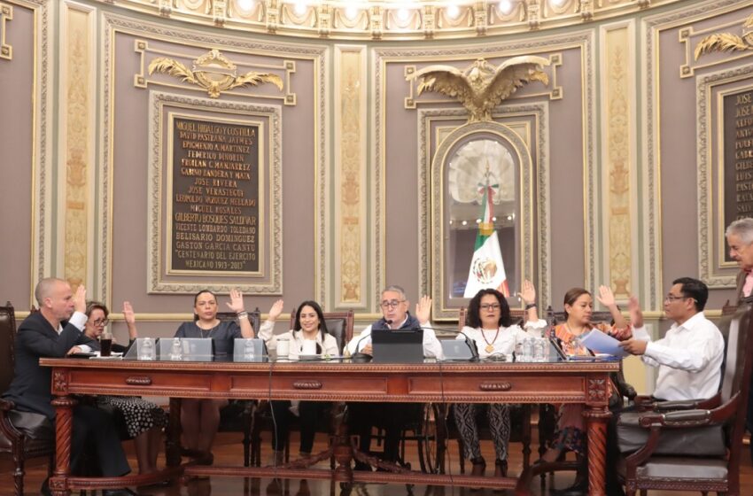  Aprueban en Comisión del Congreso exhorto para distribución  gratuita de árboles