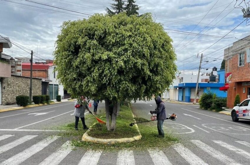 Ayuntamiento de Puebla da mantenimiento a más de 12 millones de metros cuadrados de superficies en parques, jardines y áreas verdes