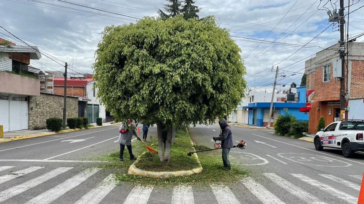 Ayuntamiento de Puebla da mantenimiento a más de 12 millones de metros cuadrados de superficies en parques, jardines y áreas verdes
