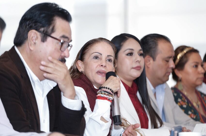  «Impugnación contra Néstor Camarillo sigue viva»: Comité de Morena